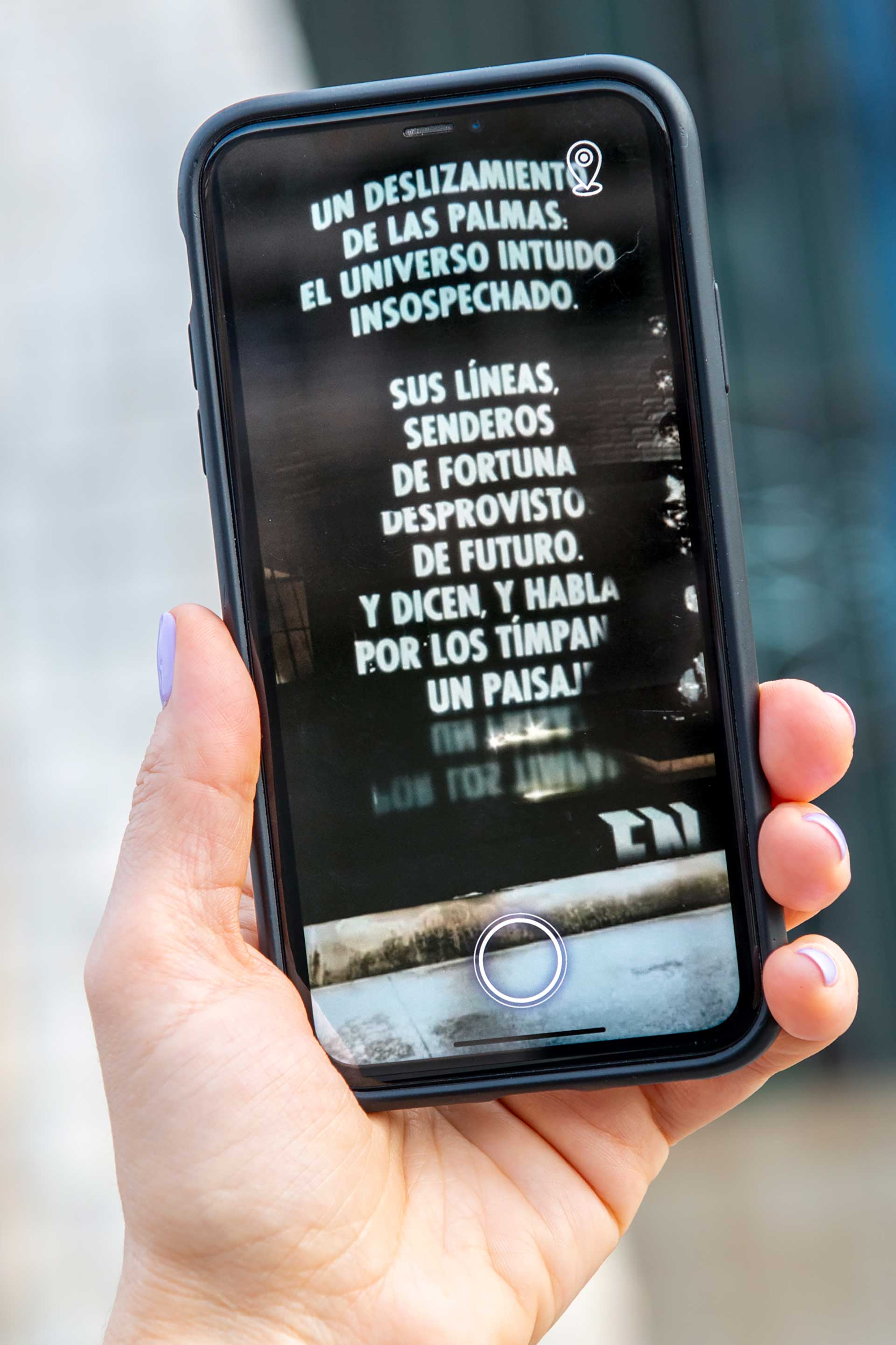 Imagen de Like Beauty in Flames